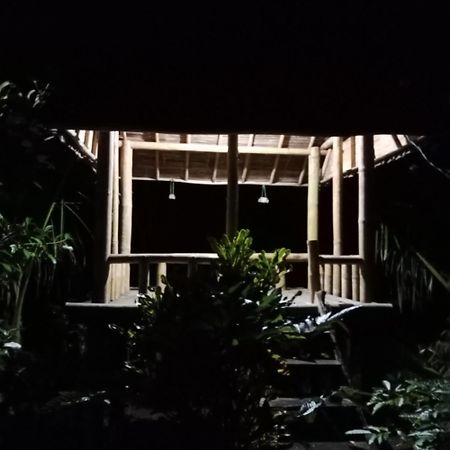 Bali Mountain Forest Cabin Penebel Bagian luar foto