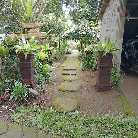 Bali Mountain Forest Cabin Penebel Bagian luar foto