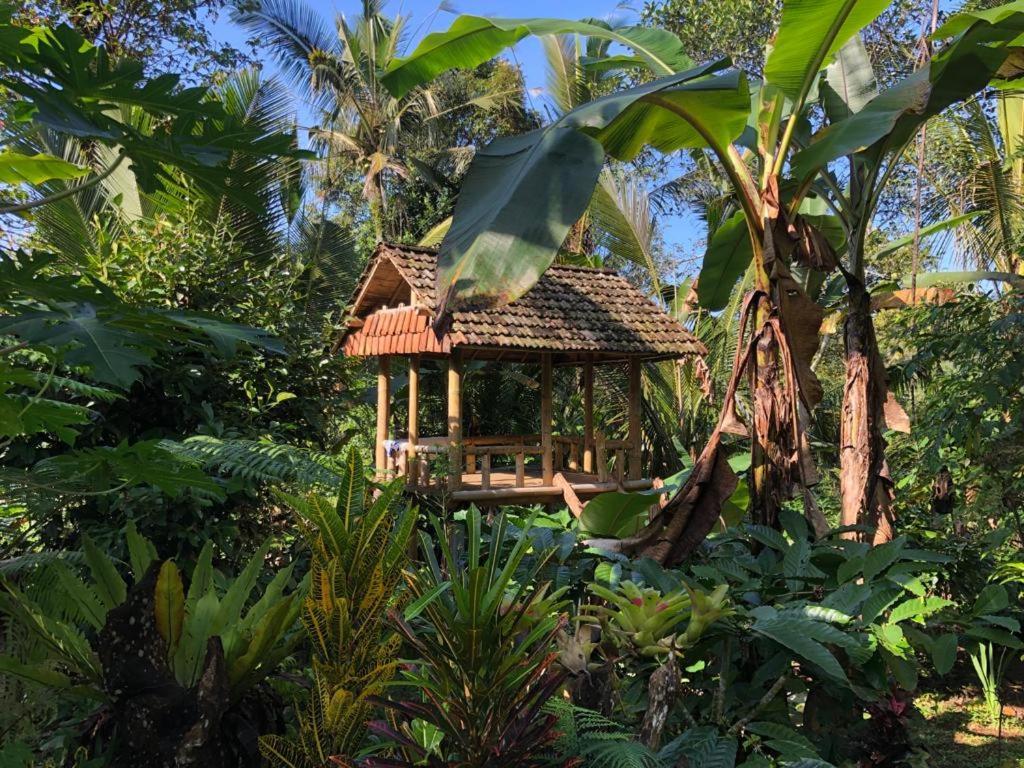Bali Mountain Forest Cabin Penebel Bagian luar foto