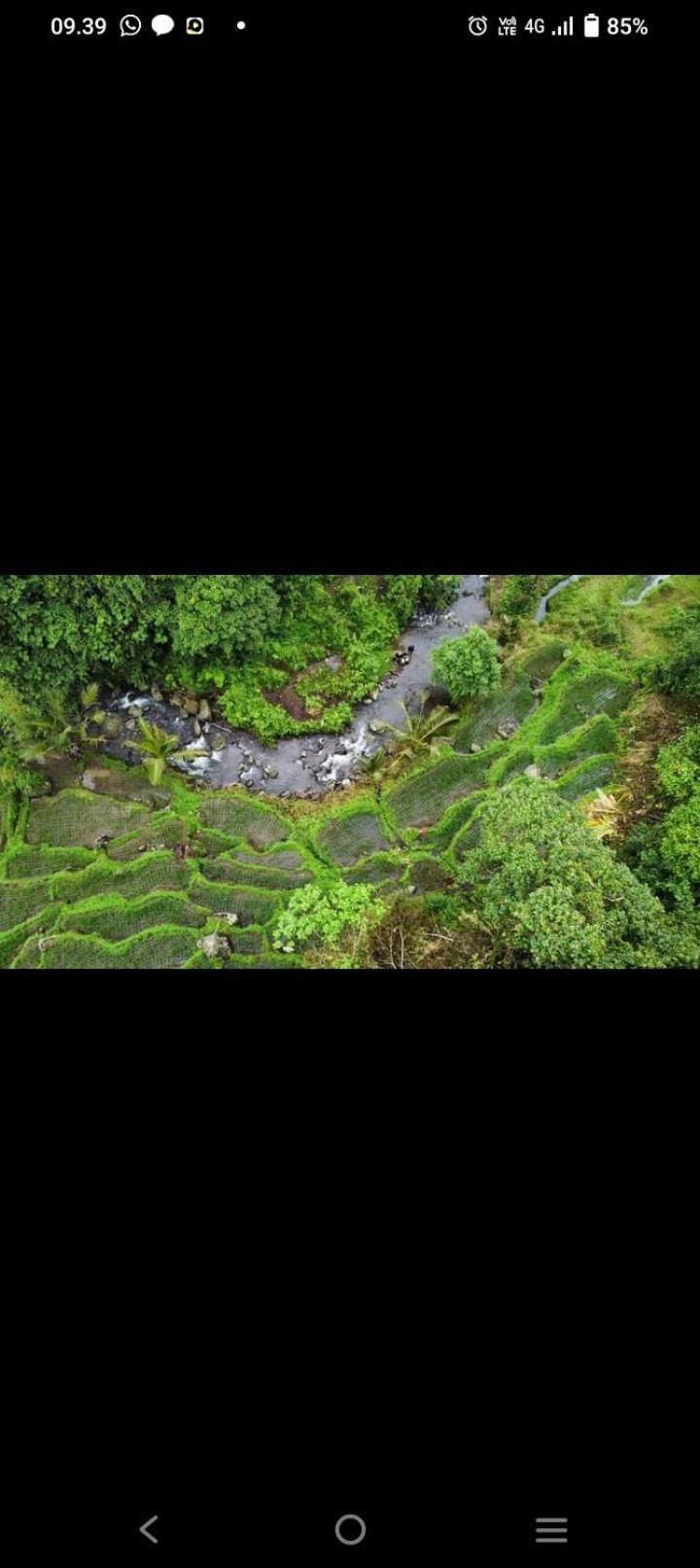 Bali Mountain Forest Cabin Penebel Bagian luar foto