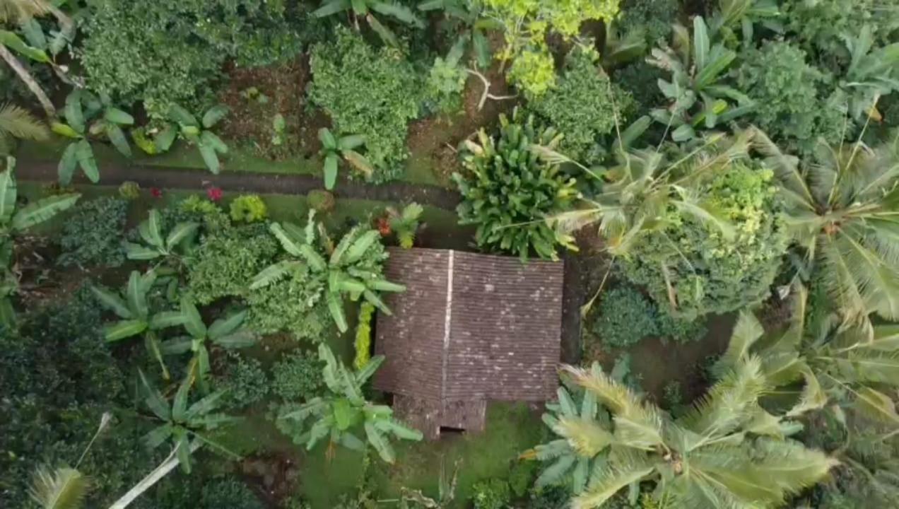 Bali Mountain Forest Cabin Penebel Ruang foto