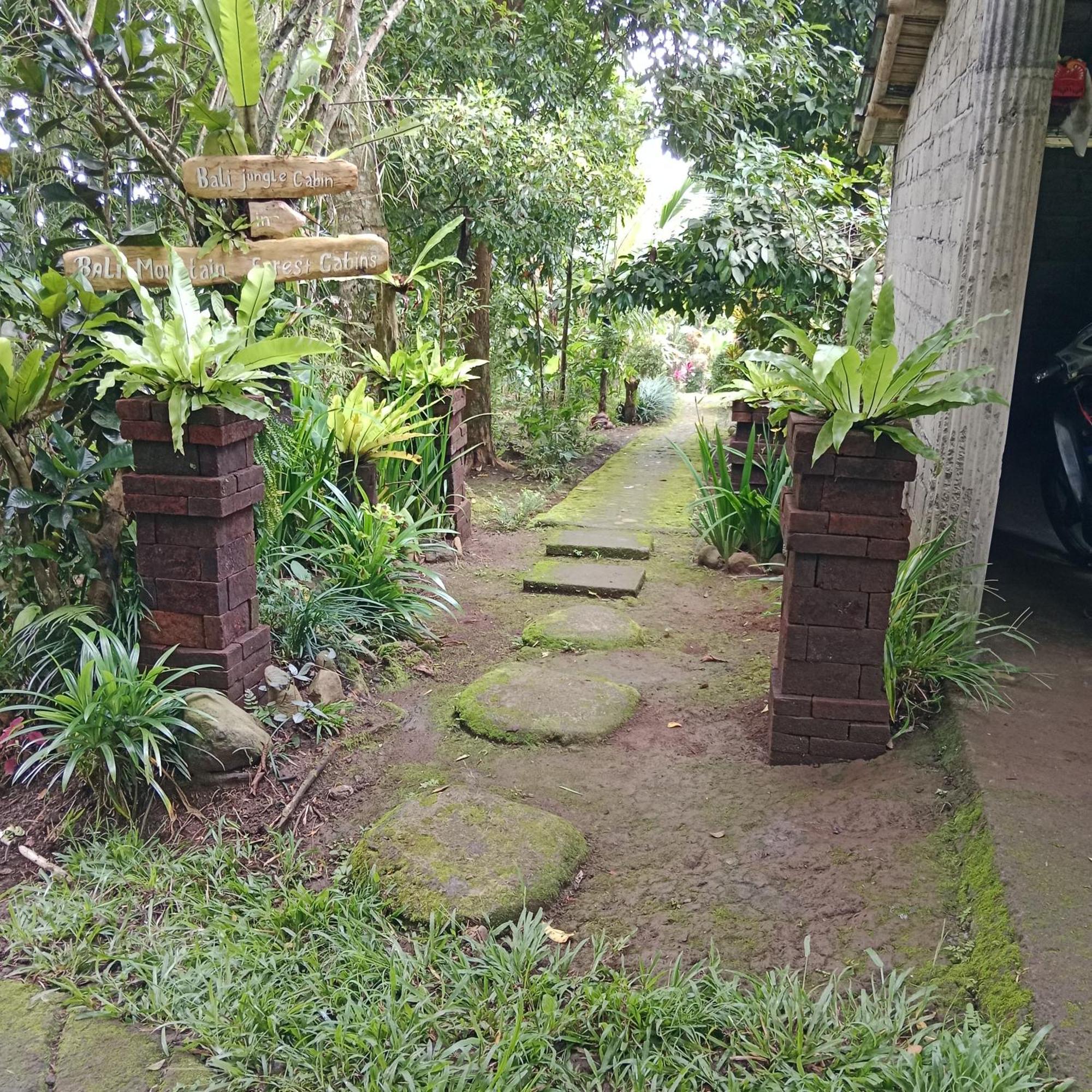 Bali Mountain Forest Cabin Penebel Ruang foto