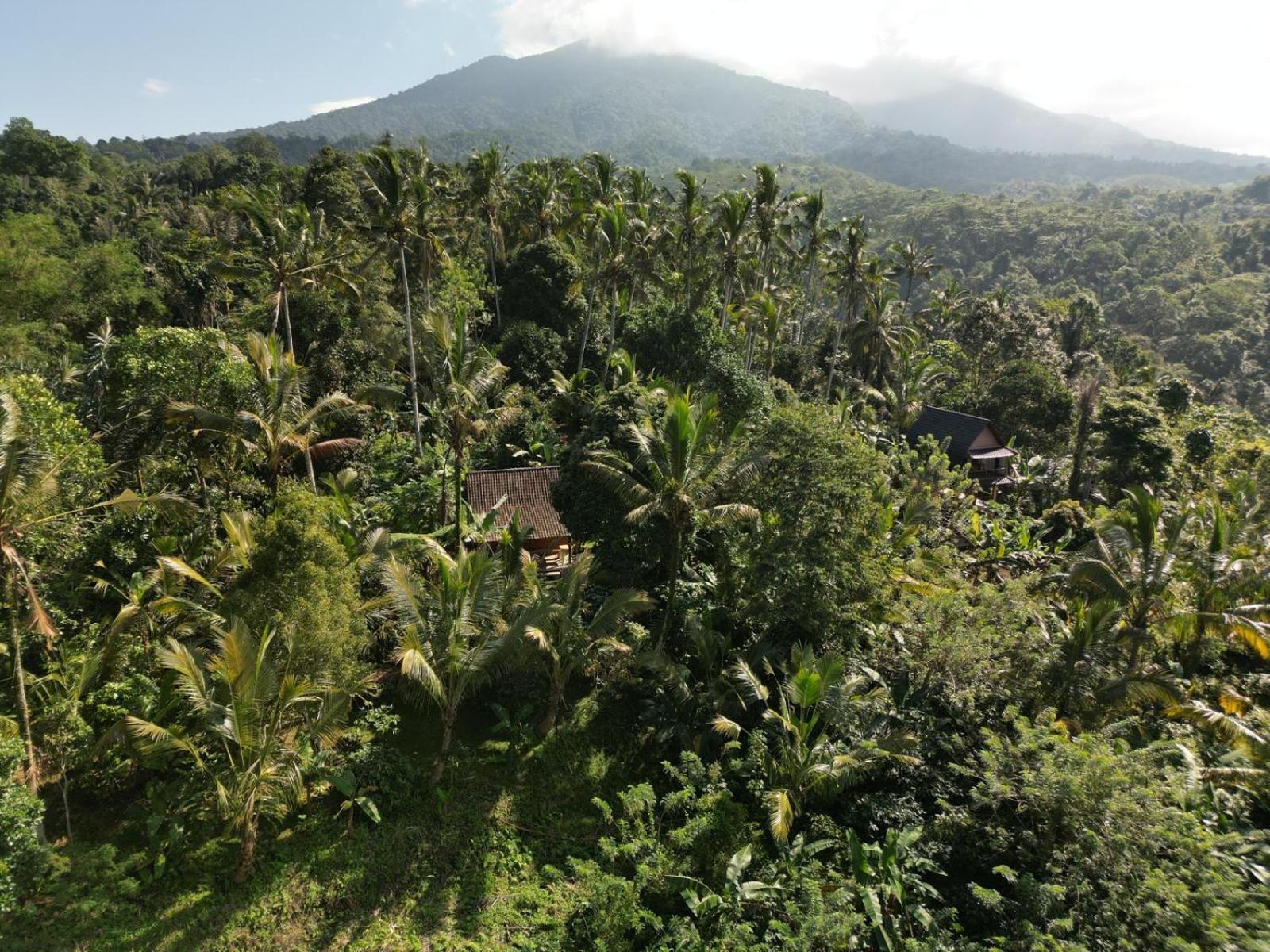 Bali Mountain Forest Cabin Penebel Ruang foto