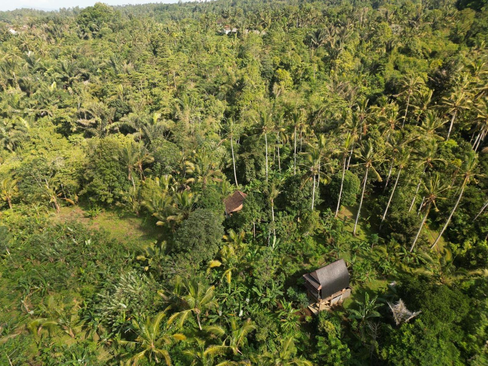 Bali Mountain Forest Cabin Penebel Ruang foto