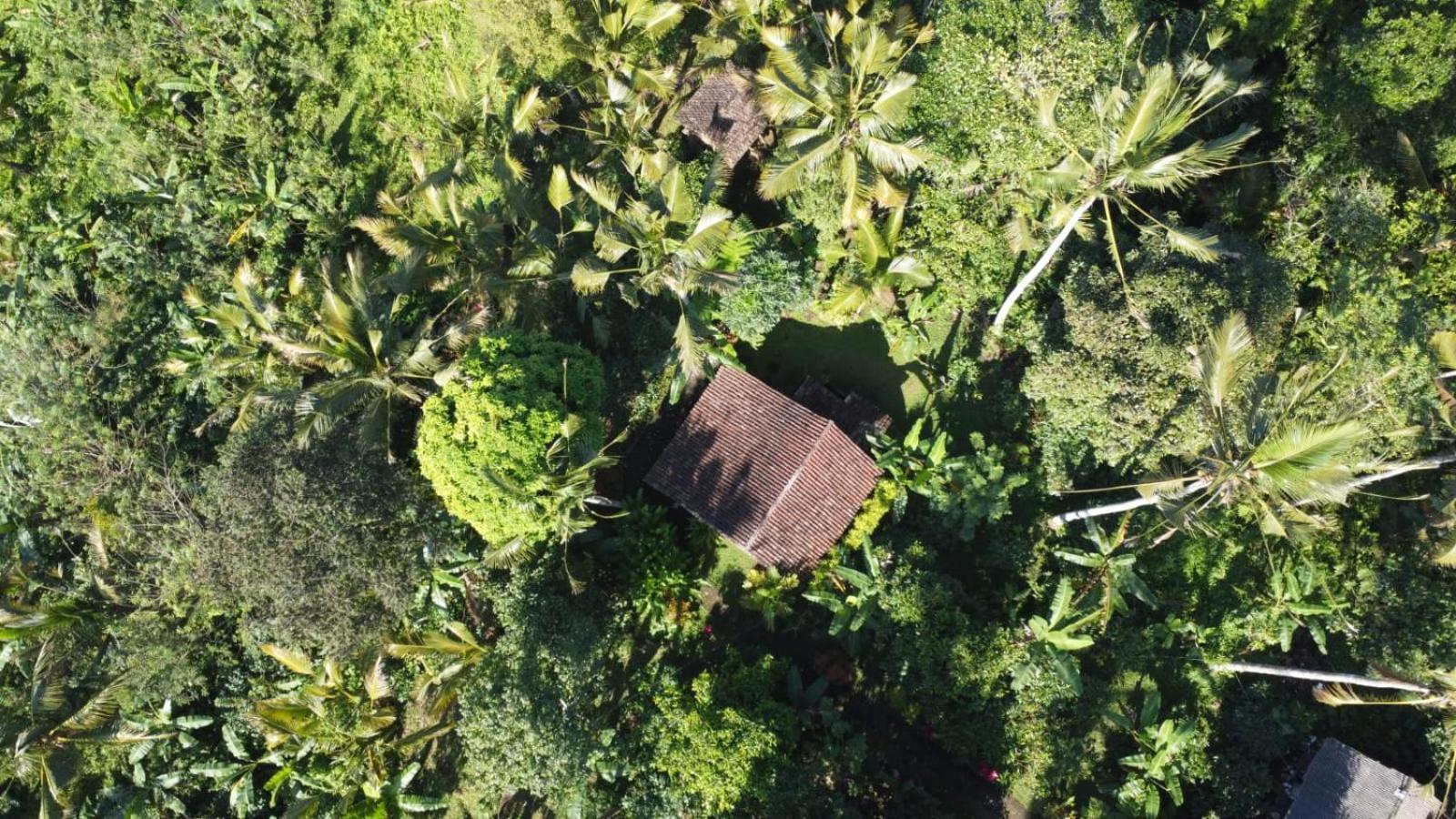Bali Mountain Forest Cabin Penebel Ruang foto