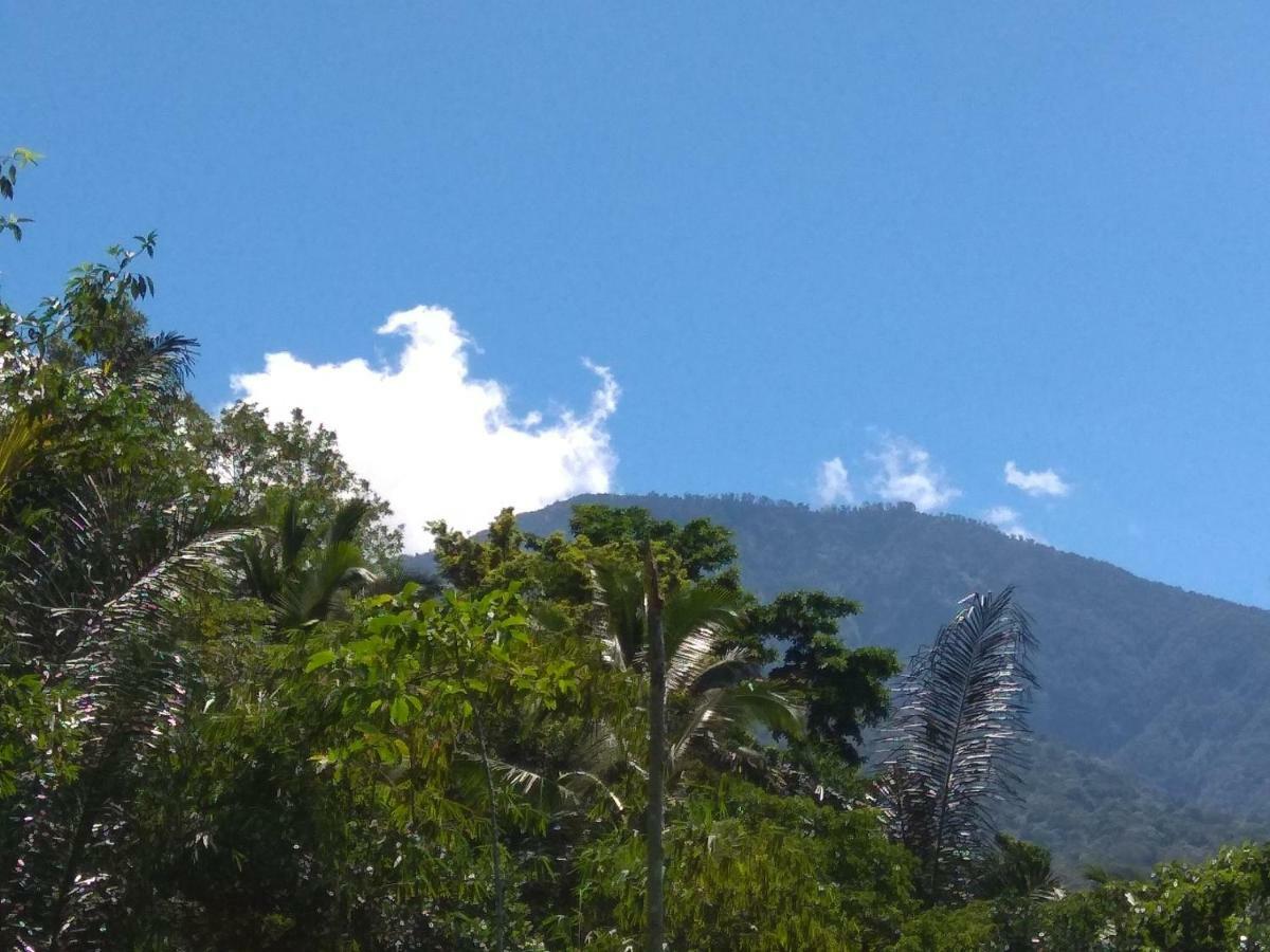 Bali Mountain Forest Cabin Penebel Bagian luar foto