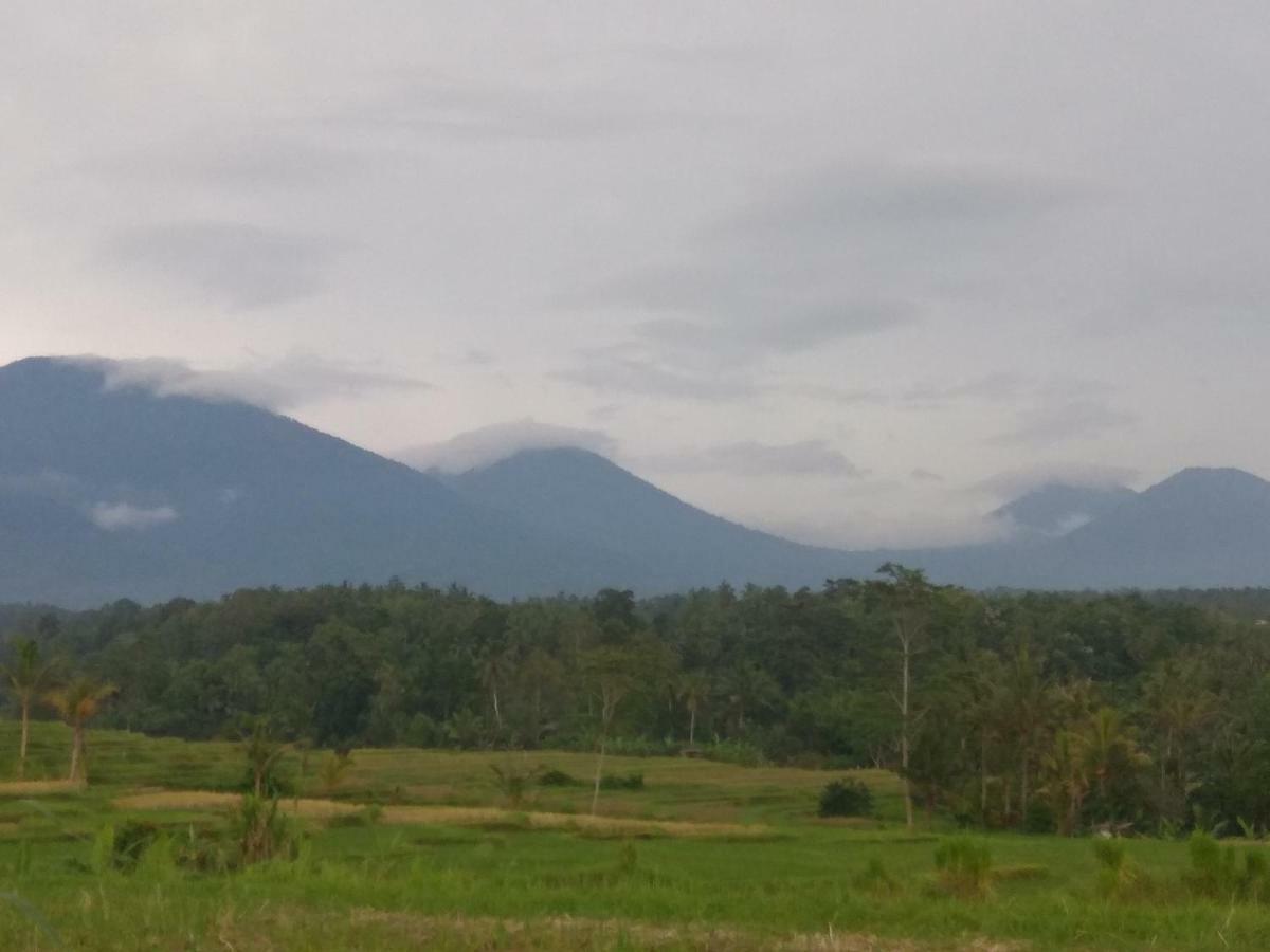 Bali Mountain Forest Cabin Penebel Bagian luar foto