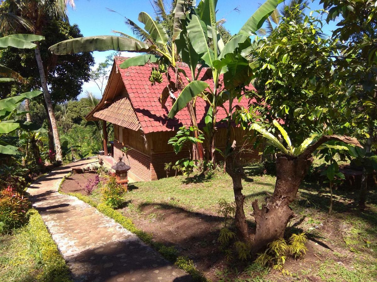 Bali Mountain Forest Cabin Penebel Bagian luar foto